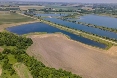 25 acre parcel from the north east quarter of section 8 in Downs - photo 6