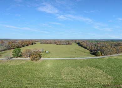 73+/- Acres of Prime Hunting & Recreational Land just Minutes - photo 1