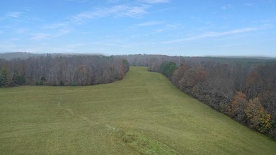 73+/- Acres of Prime Hunting & Recreational Land just Minutes - photo 2