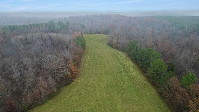 73+/- Acres of Prime Hunting & Recreational Land just Minutes - photo 4