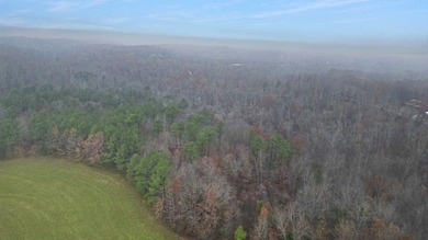 73+/- Acres of Prime Hunting & Recreational Land just Minutes - photo 5