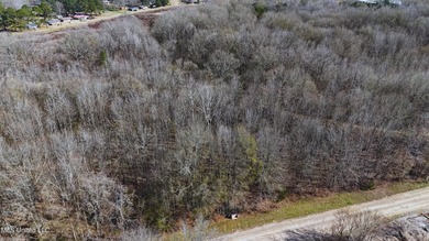 6.1+/- acres in Madison County, MS, located just off Ratliff - photo 2