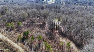 6.1+/- acres in Madison County, MS, located just off Ratliff - photo 3