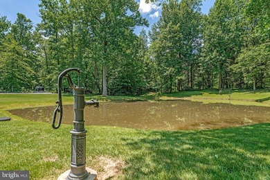 Welcome to your private retreat in Frederick County. Set on 27 - photo 23