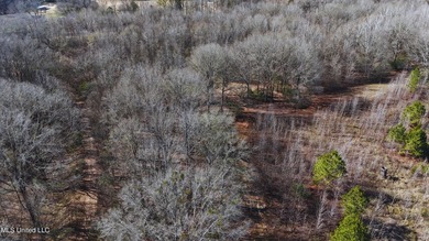6.1+/- acres in Madison County, MS, located just off Ratliff - photo 4