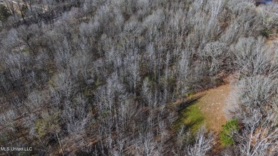 6.1+/- acres in Madison County, MS, located just off Ratliff - photo 5