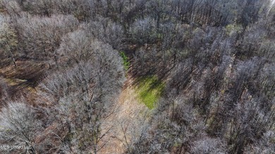 6.1+/- acres in Madison County, MS, located just off Ratliff - photo 6