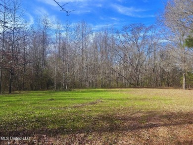 6.1+/- acres in Madison County, MS, located just off Ratliff - photo 7