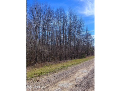 6.1+/- acres in Madison County, MS, located just off Ratliff - photo 8