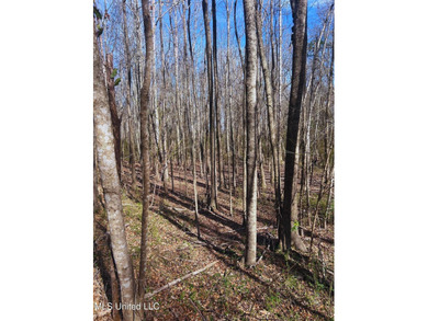6.1+/- acres in Madison County, MS, located just off Ratliff - photo 9
