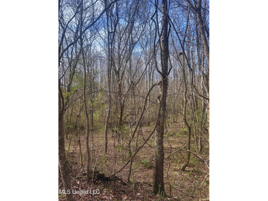 6.1+/- acres in Madison County, MS, located just off Ratliff - photo 10