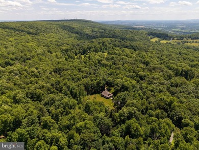 Welcome to your private retreat in Frederick County. Set on 27 - photo 31