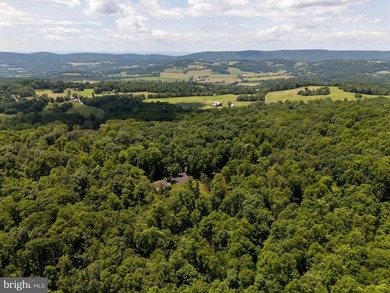 Welcome to your private retreat in Frederick County. Set on 27 - photo 32