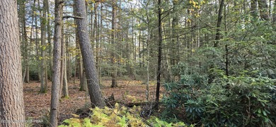 Placid Lake Lot For Sale in Albrightsville Pennsylvania