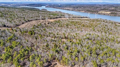 Lake Dardanelle Acreage For Sale in Delaware Arkansas