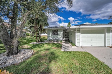 Lake Home For Sale in Tarpon Springs, Florida