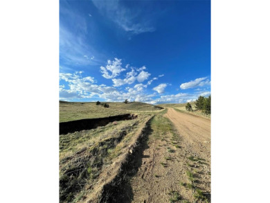 (private lake, pond, creek) Acreage For Sale in Hartsel Colorado