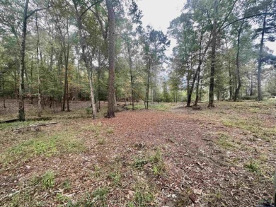 Lake Lot For Sale in Nacogdoches, Texas