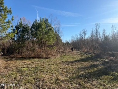 95+/- Acres on Raymond Road - Creek, Ponds, Airstrip, Homesite - photo 2