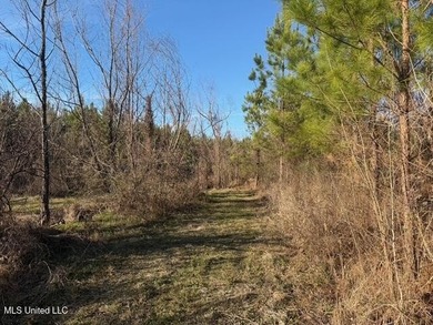 95+/- Acres on Raymond Road - Creek, Ponds, Airstrip, Homesite - photo 5