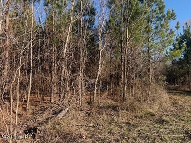 95+/- Acres on Raymond Road - Creek, Ponds, Airstrip, Homesite - photo 6