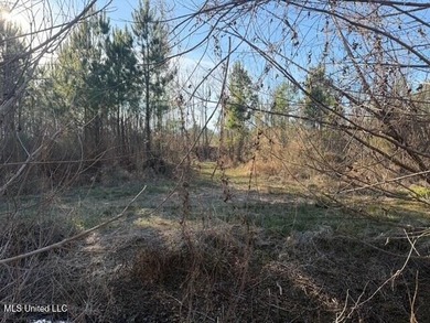 95+/- Acres on Raymond Road - Creek, Ponds, Airstrip, Homesite - photo 7