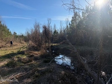95+/- Acres on Raymond Road - Creek, Ponds, Airstrip, Homesite - photo 8