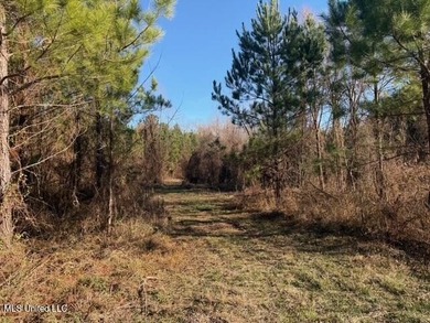 95+/- Acres on Raymond Road - Creek, Ponds, Airstrip, Homesite - photo 10
