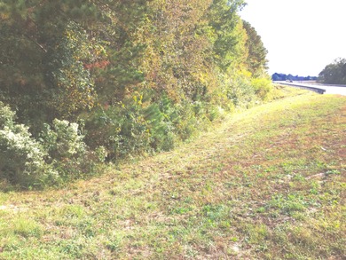 Strom Thurmond / Clarks Hill Lake Acreage For Sale in Thomson Georgia