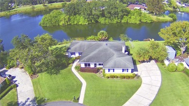 (private lake, pond, creek) Home For Sale in Bartow Florida