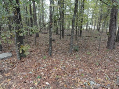 1 vacant double lot for sale, ready for your new home, joining - photo 5