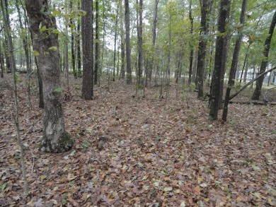 1 vacant double lot for sale, ready for your new home, joining - photo 6