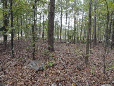 1 vacant double lot for sale, ready for your new home, joining - photo 7