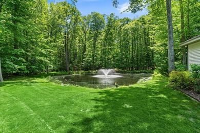 A rare opportunity in Spring Lake Township. This walkout ranch - photo 47