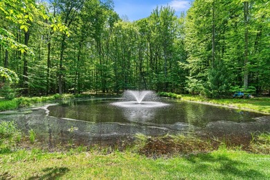 A rare opportunity in Spring Lake Township. This walkout ranch - photo 48