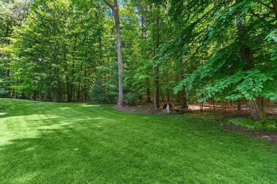 A rare opportunity in Spring Lake Township. This walkout ranch - photo 49