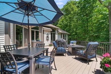 A rare opportunity in Spring Lake Township. This walkout ranch - photo 50