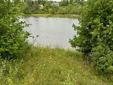 (private lake, pond, creek) Acreage Active Under Contract in Cheboygan Michigan