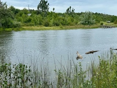 Upper Black River Acreage For Sale in Cheboygan Michigan