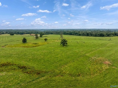 Discover the possibilities with this exceptional 70-acre farm, a - photo 12