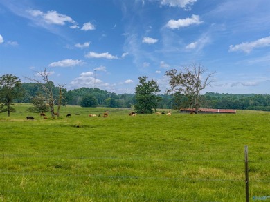 Discover the possibilities with this exceptional 70-acre farm, a - photo 14