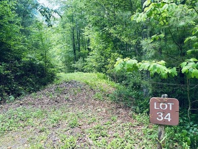 (private lake, pond, coastal) Lot For Sale in Sylva North Carolina