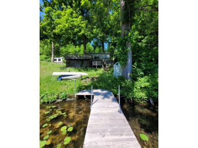 Lake Home For Sale in Shelbyville, Michigan