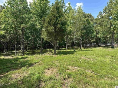 Kentucky Lake Lot For Sale in Benton Kentucky