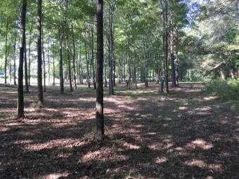 8 Lake Lots available. - Lake Lot For Sale in Decherd, Tennessee