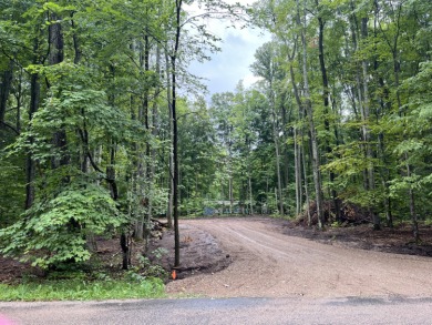 Lake Lot For Sale in Johannesburg, Michigan