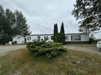 Lake Home For Sale in East Machias, Maine