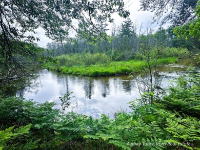 Lake Acreage Sale Pending in Branch, Michigan