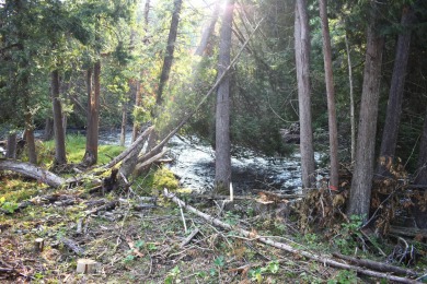 Lake Lot For Sale in Wolverine, Michigan
