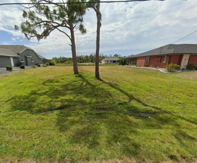 Buildable water front lot on the Rotonda River in the deed - photo 2